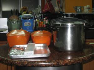 Orange Dutch Oven and Pressure cooker